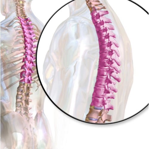 Brystrygsmerter - ArosKiropraktor